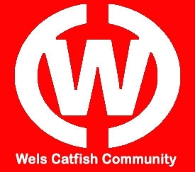 Wels Catfish Community