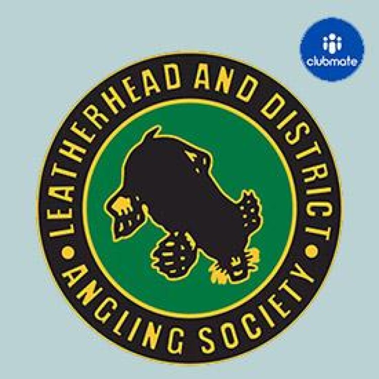 Affiliate Logo