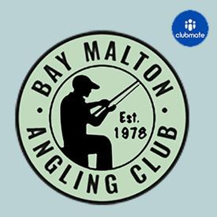 Affiliate Logo