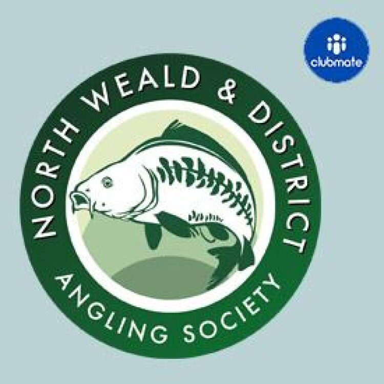 Affiliate Logo