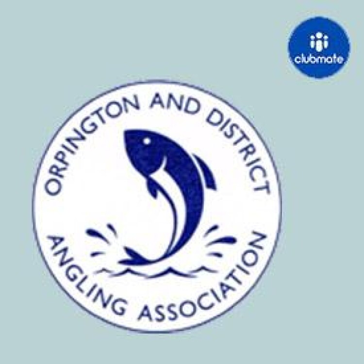 Affiliate Logo