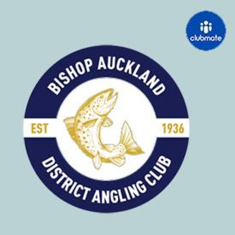 Affiliate Logo