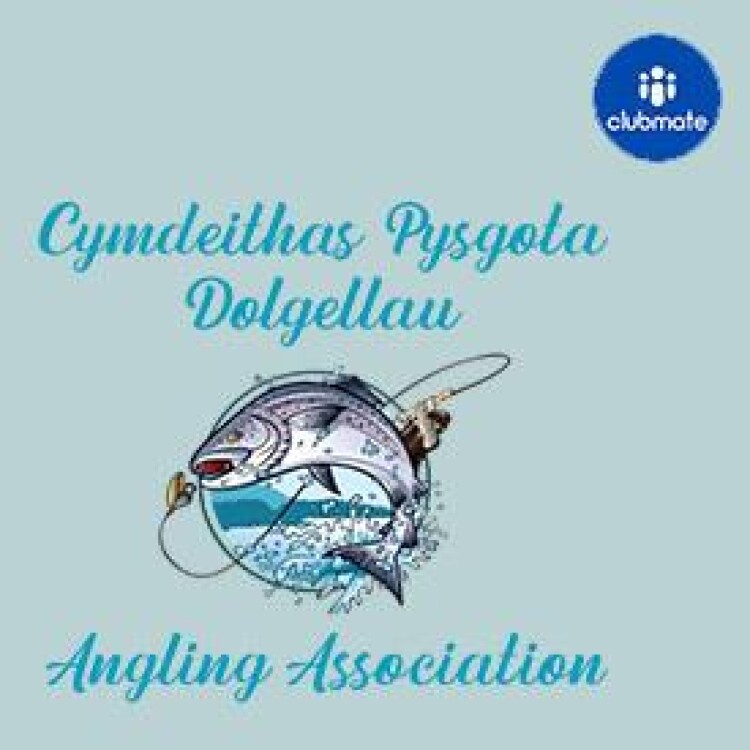 Affiliate Logo