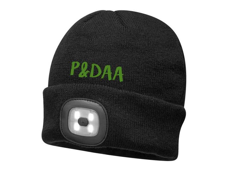 PDAA LED Beanie